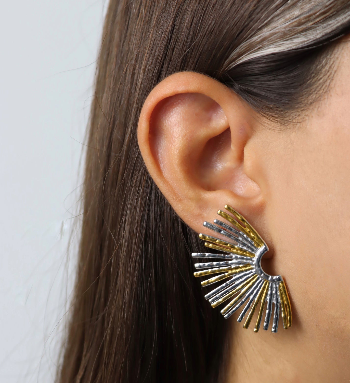 Fan Two Tone Earrings
